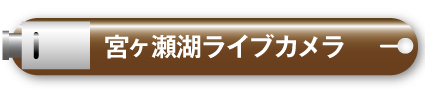 ライブカメラ（やまなみセンター）
